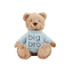 Big/Little Bro & Sis Bears