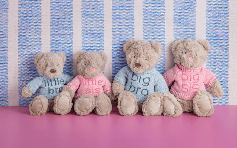 Big/Little Bro & Sis Bears