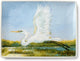The Coastal Bird Serveware Collection