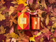 Glasshouse Harvest Muse 13.4 oz Candle
