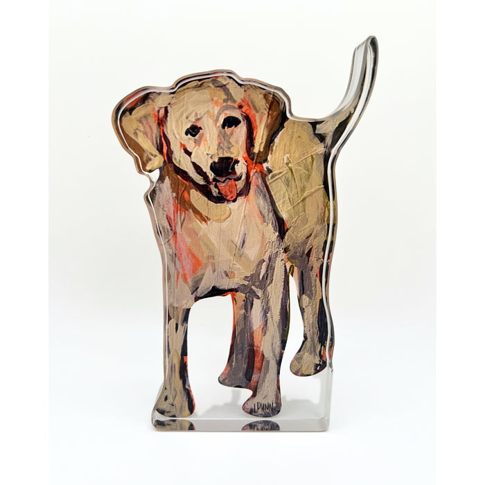 Lauren Dunn Acrylic Blocks