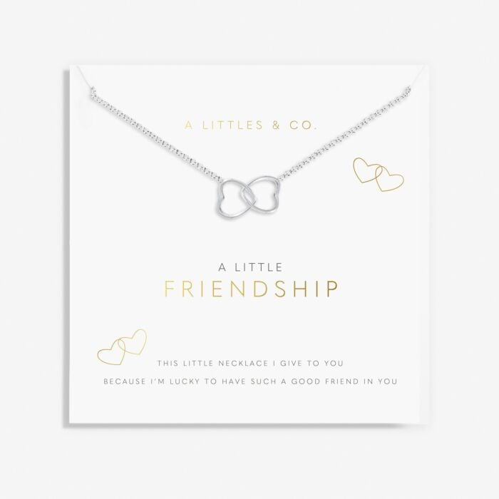 “A Little” Friendship Necklace