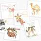 Anne Neilson Childrens Scripture Cards with Stand
