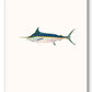 Boxed Stationery Set