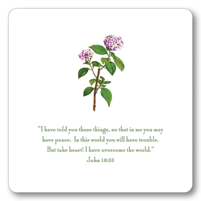 Oversized Verse Cards